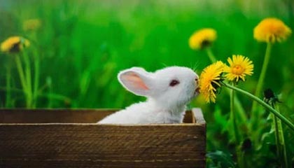 kaiyun-C罗携胜利队友迎接马内归队，并为他送上庆功蛋糕